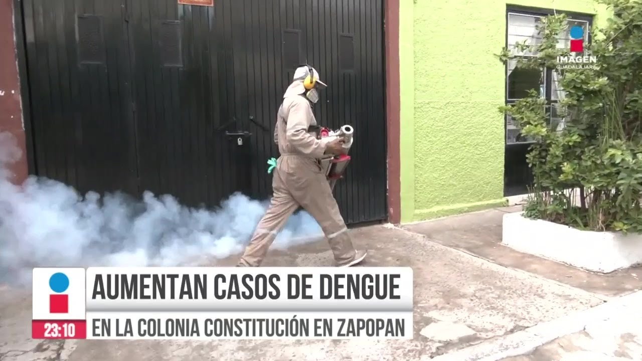 Aumentan casos de dengue en Zapopan, Jalisco | Noticias GDL con Rey Suárez