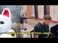 Stjepan Hauser In Cat Market New Vlog | Hauser In Another Planet New World In Japan Tokyo 2024