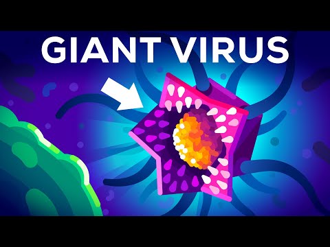 This Virus Shouldn t Exist But it Does 
