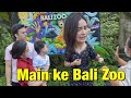Main ke Bali Zoo