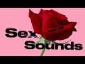 Black ACE - Sex Sounds (OFFICIAL AUDIO)