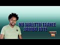 Jambo Jote   Nu Walittii Taanee   New Oromo Music 2019