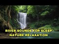 River Sounds For Sleeping 💫 Nature Melodies, Magical ASMR Nature River Vibes for Dreamy Slumber