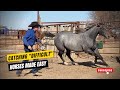 D/C  CATCHING "DIFFICULT" HORSES MADE EASY  |  Have Your Horse Come To You Every Time