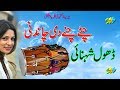Hazara Dhol || Chity Chaney De Chandni Dhol Sehnai || Hazar Gummar