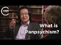 Yujin Nagasawa - What is Panpsychism?