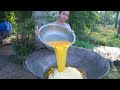 How to cook rice fried with egg recipe in my homeland - Polin lifesyle