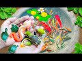 Most Amazing Catching Baby Turtles in Nest, Ornamental Catfish, Koi, Snails & Ornamental Fish Video