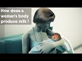 How does a woman's body produce milk?