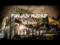 Punjabi Mushup 2023 | Punjabi Vibe chill mix | 2023 Punjabi Review @KabirVol.2