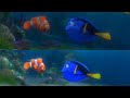 Marlin Meets Dory Finding Nemo and Finding Dory Scene Comparison