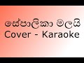 Sepalika Malai Cover Karaoke (New Slow Version) සේපාලිකා මලයි | without voice | By Miyuru Sangeeth
