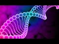 528Hz | Brings Positive Transformation | Heal Golden Chakra | Whole Body Cell Repair