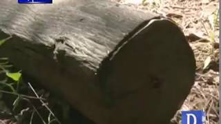 Forest cutting issue in Pakistan