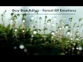 Guy Ben Adiva - Forest of Emotions