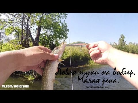 ловим щуку летом на воблер ловим щуку летом на воблер
