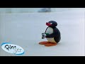 Best Episodes from Season 2 | Pingu - Official Channel | Cartoons For Kids