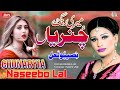 Chunaryia | Naseebo Lal | New Punjabi Song 2024 | Supper Hit Song- BN BUREWALA HD