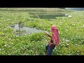 Unbelievable Fishing Video | Village Boy Catching Big Fish in River | Fishing by Hook