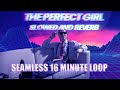 Mareux - The Perfect Girl (Retrowave/Synthwave cover) Slowed Reverb - SEAMLESS 16 MINUTE LOOP