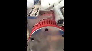 SB22 Individual straw packing machine from Nanjing Saiyi Tecnology
