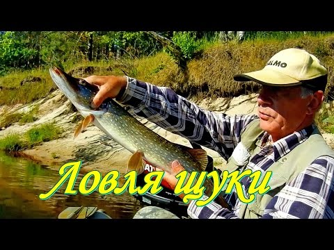 где хорошая рыбалка в августе где хорошая рыбалка в августе