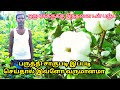 பருத்தி சாகுபடியில் இவ்ளோ வருமானமா | cotton cultivation in tamil | village thamizha village