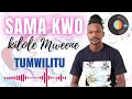 TUMWILITU BY SAMA-KWO KILOLE (OFFICIAL AUDIO)