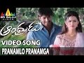 Andhrudu Video Songs | Pranamlo Pranamga Video Song | Gopichand, Gowri Pandit | Sri Balaji Video
