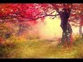 2 hours of peaceful relaxing flute and violin instrumental music by Tim Janis