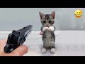 Ultimate Funny Dogs and Cats Compilation - Try Not to Laugh!
