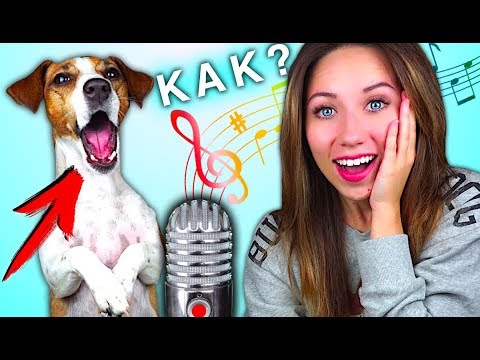 Как нарисовать канал эли ди Как нарисовать канал эли ди