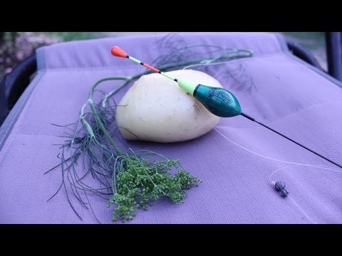 СУПЕР насадка на карася: КАТЫШКИ с чесноком. Видео СУПЕР насадка на карася: КАТЫШКИ с чесноком. Видео