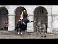 King’s Guard Shows Exceptional Horsemanship