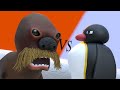 Pingu Vs The Giant Walrus (The Battle For Family)