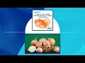 PODCAST | Potente antioxidante en piel de cebolla