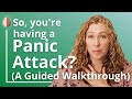 Having a Panic Attack? The Anti-Struggle Technique -A Guided Walkthrough to Stop a Panic Attack