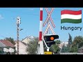 Railroad Crossings Around The World (READ DESC)(Most viewed video)