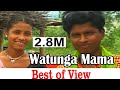 Watunga Mama ( Gondi Geet ) | Pandurang Meshram | New Gondi Song
