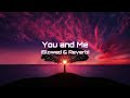 You And Me ( Slowed + Reverb ) - Shubh #love
