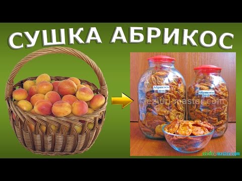 Как хранить сушеный абрикос в домашних условиях Как хранить сушеный абрикос в домашних условиях