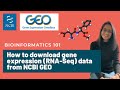 Bioinformatics 101 | How to download RNA-Seq data from NCBI GEO | Bioinformatics for beginners