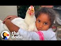 Rescue Chicken Shares A Bedroom With Her Human Sister | The Dodo Soulmates
