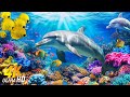 Ocean 4K - Sea Animals for Relaxation, Beautiful Coral Reef Fish in Aquarium - 4K Video Ultra HD #21