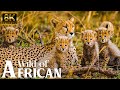 4K African Wildlife: Nairobi National Park, Africa, Relaxation Film With Real Sounds