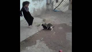 Xnxx(2)