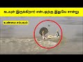 கேமராவில் பதிவான நம்ப முடியாத நிகழ்வுகள் | Unbelievable moments caught on camera | Tamil Wonders