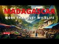 Discover Madagascar: More Than Just Wildlife