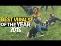 Download Top 40 Viral Videos of the Year 2018 mp4 3gp mp3 videos - waplic