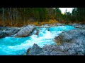 Mountain River Waterfall Flowing 24/7. Water Sounds, Nature White Noise. River Sounds for Sleeping.